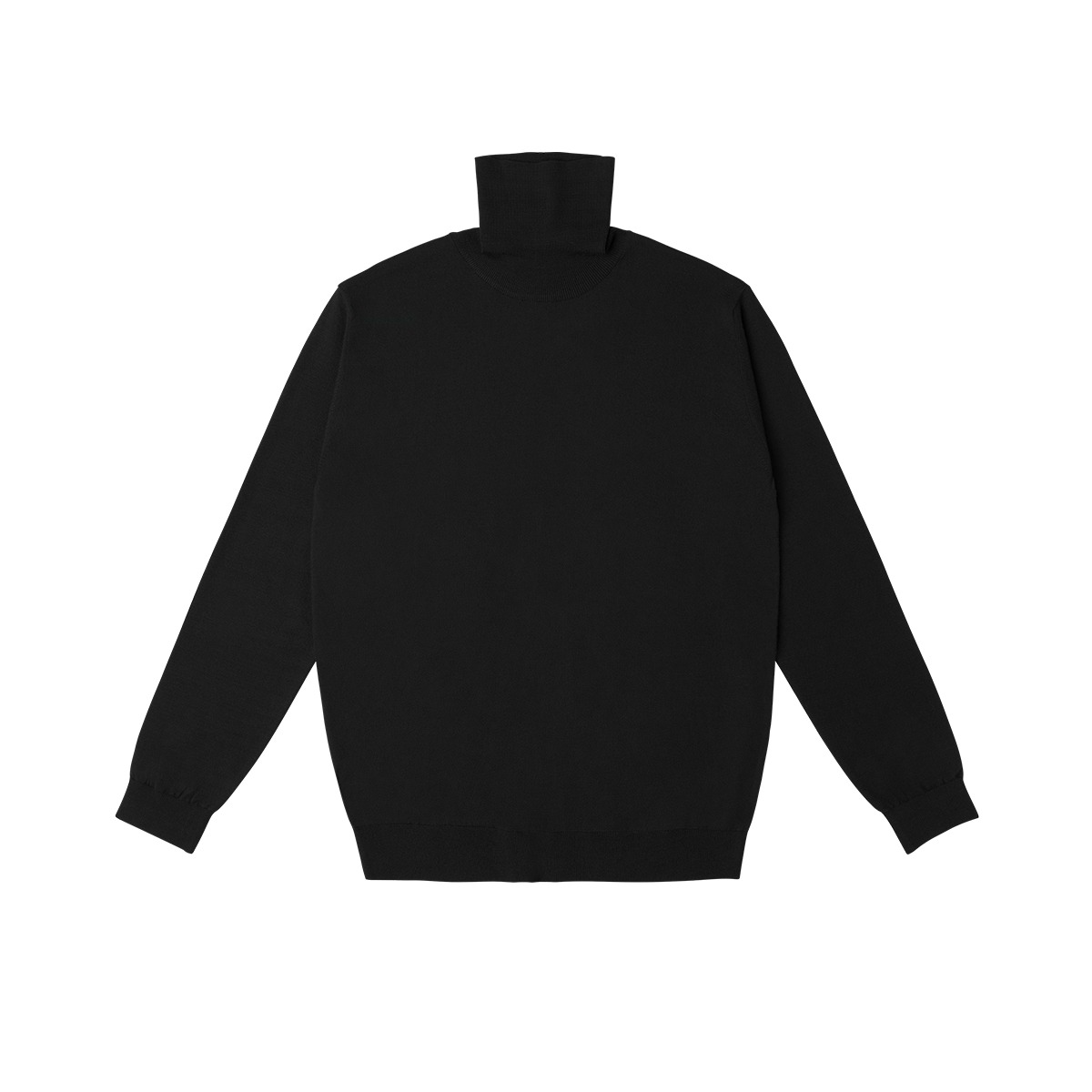 Black Solid Turtle neck Sweater